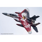 AC-98 1/72 航空自衛隊 F-15J イーグル 美ら島エアフェスタ2024 第204飛行隊 創立60周年記念塗装機 [組立式プラスチックモデル]