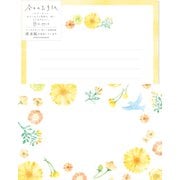 今日のお手紙レターセット キイロのお花 LLL464