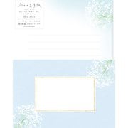 今日のお手紙レターセット カスミソウ LLL466