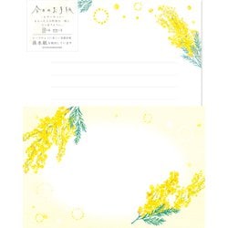 今日のお手紙レターセット ふんわりミモザ LLL469
