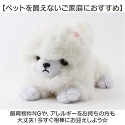 むにゃむにゃわんこ ポメちゃん 8203 167 Amazon.co.jp: むにゃむにゃわんこ ポメちゃん 8203 167 : おもちゃ