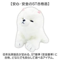 いっしょにあそぼう ポメまるちゃん ぬいぐるみ ggw725x Amazon.co.jp: イワヤ いっしょにあそぼう ポメまるちゃん