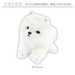 ヨドバシ.com - オスト munya [8203-167 むにゃむにゃわんこ