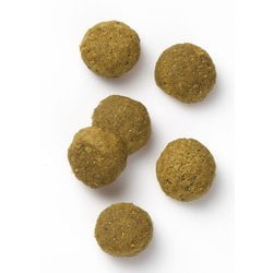  CANIN 心臓サポート 猫用　2kg✖️2袋 ヨドバシ.com - ROYAL CANIN ロイヤルカナン ロイヤルカナン 猫