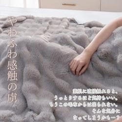 2枚セット【シビラ】アルアンダルス 綿入り毛布 シングル