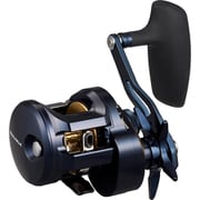 ベイトリール 25ソルティガ 300L