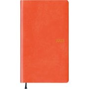 限定 2025年4月始まり Appoint(アポイント) 1ヶ月ブロック 日曜始まり 薄型 手帳サイズ オレンジ E1170