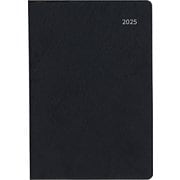 限定 2025年4月始まり Appoint(アポイント) 大きな文字シリーズ A6 1ヶ月ブロック ブラック E8819