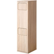 BD-960RNT [木製2段プッシュダストボックス W25×D30×H96cm]