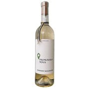 シトロニーマガラッチャ（シロ）/CITRONNIY MAGARACHA 750ml ウクライナ/オデーサ [白ワイン]