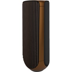 スピーカー Beolab 50 Bronze Tone Slave
