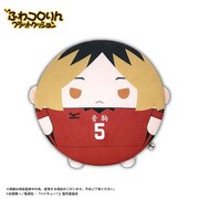 ハイキュー！！ ふわコロりん フラットクッション D. 孤爪研磨