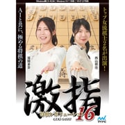 将棋レボリューション 激指16 [Windowsソフト]