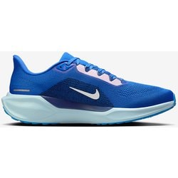 NIKE ペガサス41 30cm ブルー　ランニング NIKE公式】ナイキ ペガサス 41 ブループリント メンズ ロード