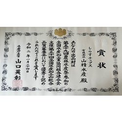 ヨドバシ.com - 山精水産 しらすチップス 通販【全品無料配達】