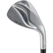 ドルフィンウェッジ セミグースネック DW-125G N.S.PRO Zelos7（スチール）（R） ロフト角58° 2025年モデル [ゴルフ ウェッジ]