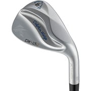 ドルフィンウェッジ セミグースネック DW-125G N.S.PRO Zelos6 ロフト角46° 2025年モデル [ゴルフ ウェッジ]