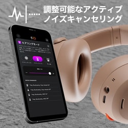 【未使用】Skullcandy スカルキャンディ　S6HTW-L687 SKULLCANDY Venue S6HCW-M685 [Moab] 価格比較 - 価格.com