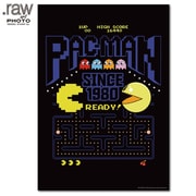 PAC-MAN フォトアートポスター SINCE 1980