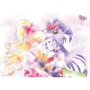 S500-729 魔法つかいプリキュア！！～MIRAI DAYS～ [ジグソーパズル 500ピース]