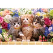 S300-139 仔猫たちの花時間 [ジグソーパズル 300ピース]