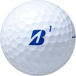 ヨドバシ.com - ブリヂストンスポーツ BRIDGESTONE GOLF LADY