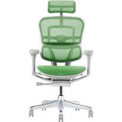 エルゴヒューマン ergohuman ファブリックメッシュ グリーン Amazon.co.jp: エルゴヒューマン オフィスチェア プロ グリーン