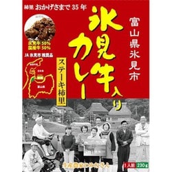 【富山】氷見牛入りカレー 230g