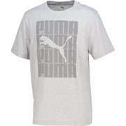グラフィックス プーマ ウォーディング 半袖 Tシャツ メンズ フィットネス 半袖シャツ Light Gray Heather(04) Lサイズ 687679