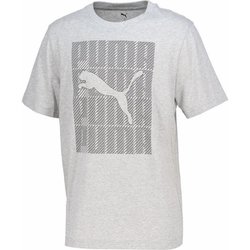 グラフィックス プーマ ウォーディング 半袖 Tシャツ メンズ フィットネス 半袖シャツ Light Gray Heather（04） Mサイズ 687679