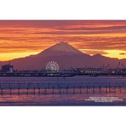 S300-431 シリーズ・日本の都市75 千葉県船橋市「三番瀬からみる富士山」 [ジグソーパズル 300ピース]