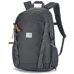 VT デイパック F デイパック 20L Dark Charcoal（1210） 501220