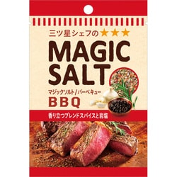 袋入りマジックソルト バーベキュー 20g