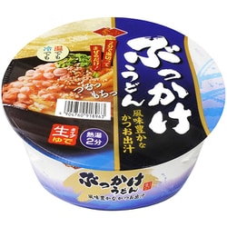金ちゃんぶっかけうどん 189g