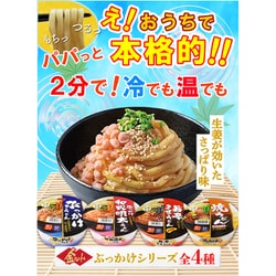 うどんちゃん専用°・*:.。.☆ 徳島製粉 金ちゃん ぶっかけうどん 189g×12個入｜ 送料無料