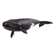 14878 [WILD LIFE（ワイルドライフ） タイセイヨウセミクジラ]