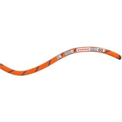 アルパインセンダードライロープ 9.0mm ロープ sunrise-ice（2154） 60m 2010-05370