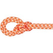 9.5 クラッグクラシックロープ 9.5mm ロープ vibrant orange-white(2237) 50m 2010-05610