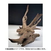 ブラックホーン XL