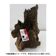 スタンプウッド M