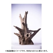ブラックホーン XXL
