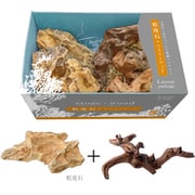 レイアウトパッケージ 松皮石+ツイストウッド