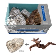 レイアウトパッケージ 青華石+ツイストウッド