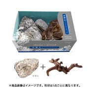 レイアウトパッケージ 青華石＋ツイストウッド