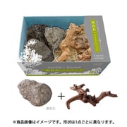 レイアウトパッケージ 溶岩石＋ツイストウッド