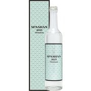 コーティング剤 SPASHAN 2025 500ml