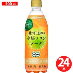 北海道搾り夕張メロンソーダ 500ml×24