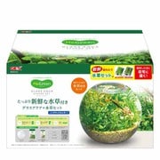 MeGreen 新鮮な水草付き グラスアクアスフィアセット