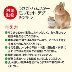 ヨドバシ.com - GEX ジェックス すりおろし りんりんりんご 6個