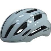 自転車用ヘルメット 55-58cm アジアンフィット サイドパッド(EVOLVE LIGHT) JCF公認 CE規格適合品 SWALLO Ice GR S/M